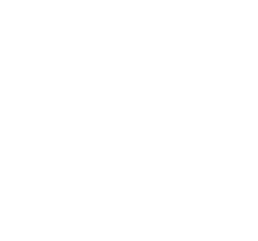 VC